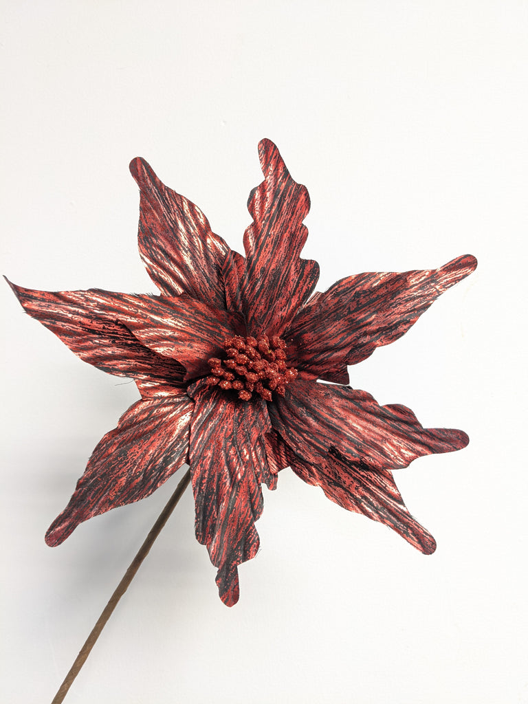 Decorative Marvel Poinsettia (Red + Black) - Beaudry Flowers