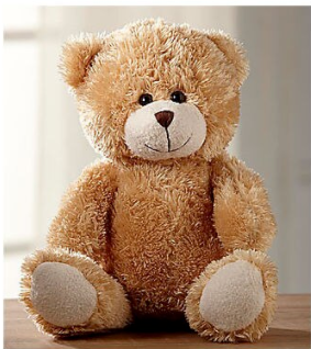 Large Plush - Beaudry Flowers