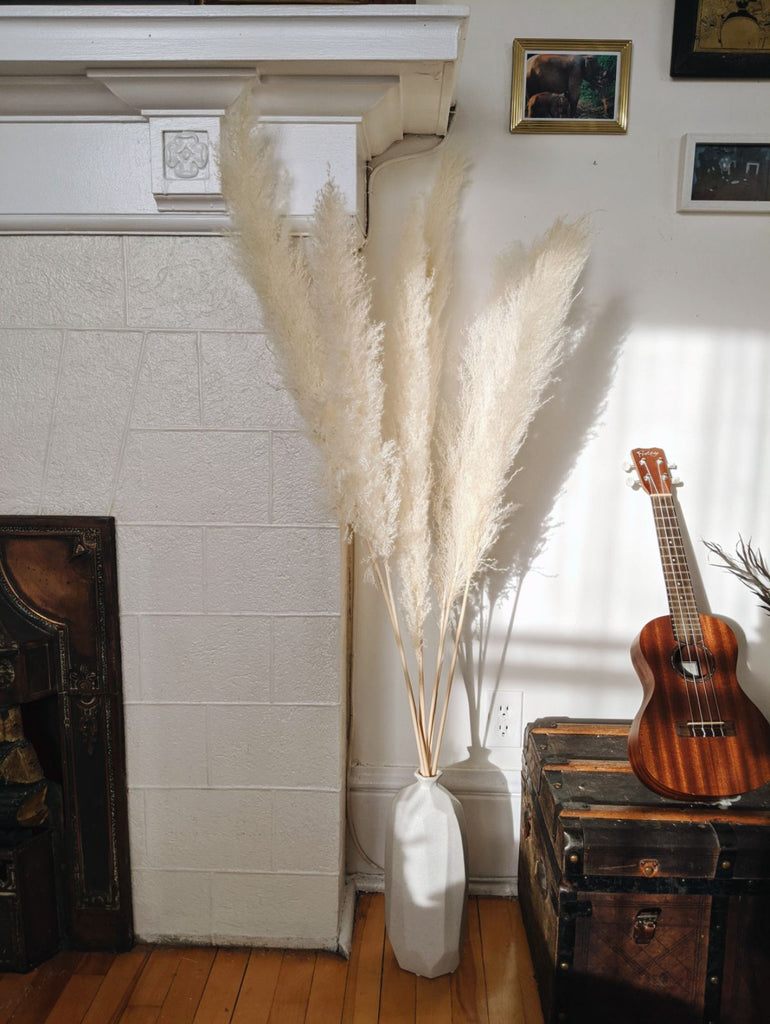 Large White Pampas in Geo Vase - Beaudry Flowers
