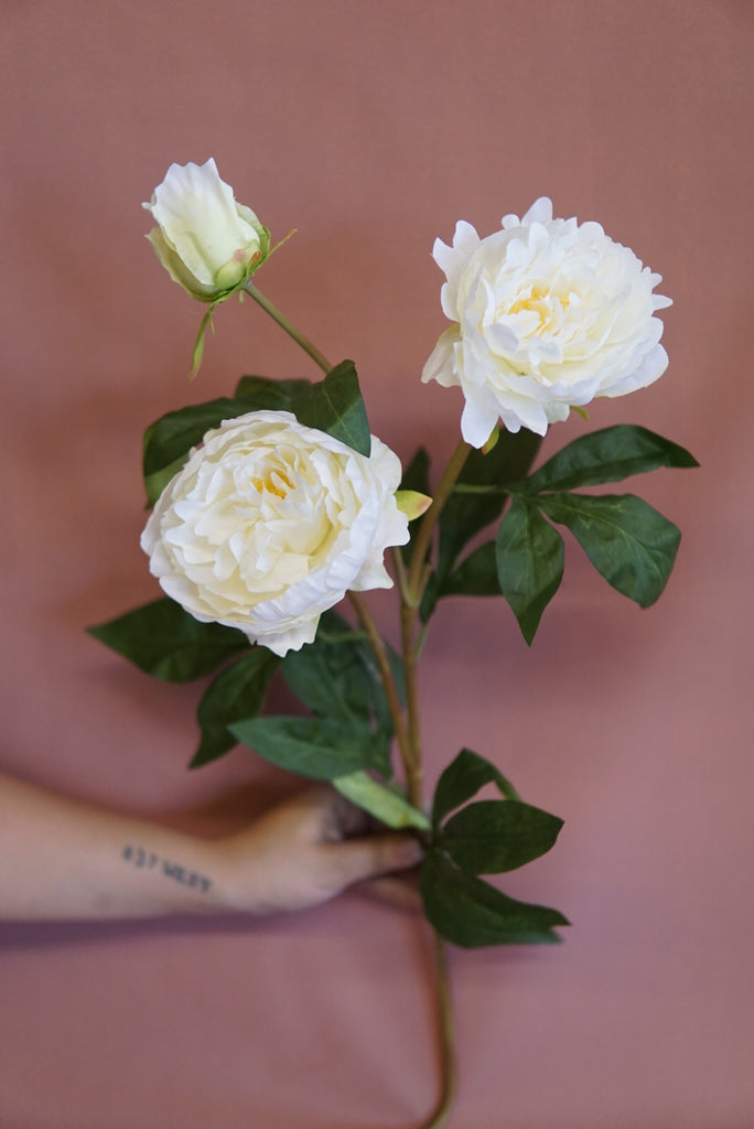 Faux Peony Stem - Beaudry Flowers