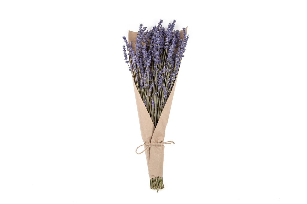 Dried Lavender Bundle - Beaudry Flowers