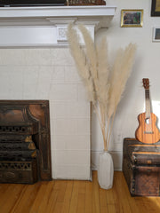 Large White Pampas in Geo Vase - Beaudry Flowers