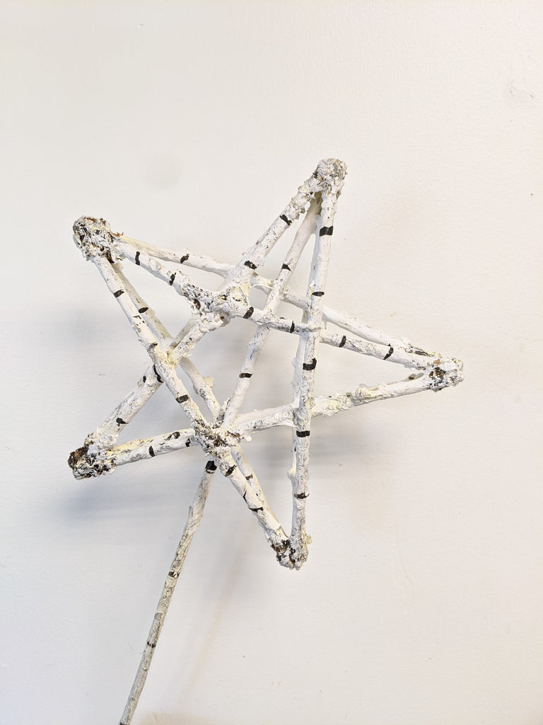 10" Wire Birch Star Stem - Beaudry Flowers