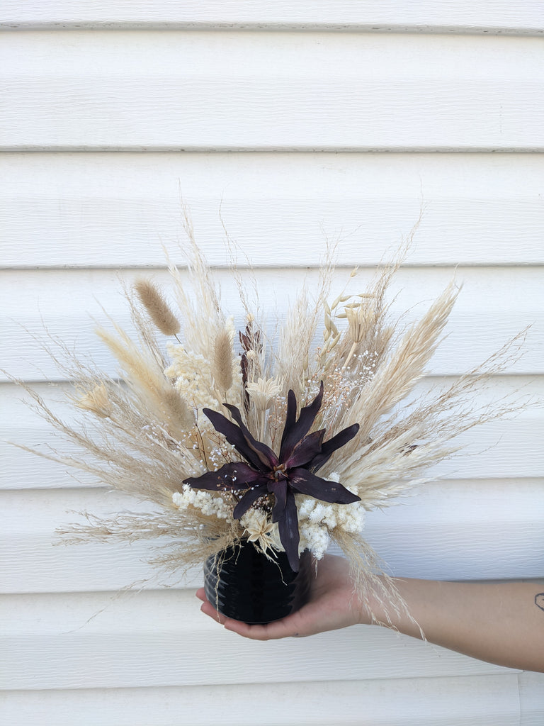 Mini Leucadendron Dried Arrangement - Beaudry Flowers