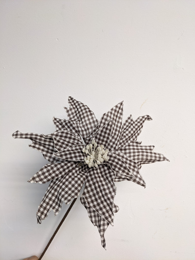 Decorative Checkered White + Brown Poinsettia - Beaudry Flowers