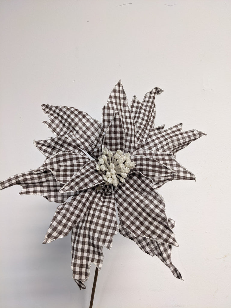 Decorative Checkered White + Brown Poinsettia - Beaudry Flowers