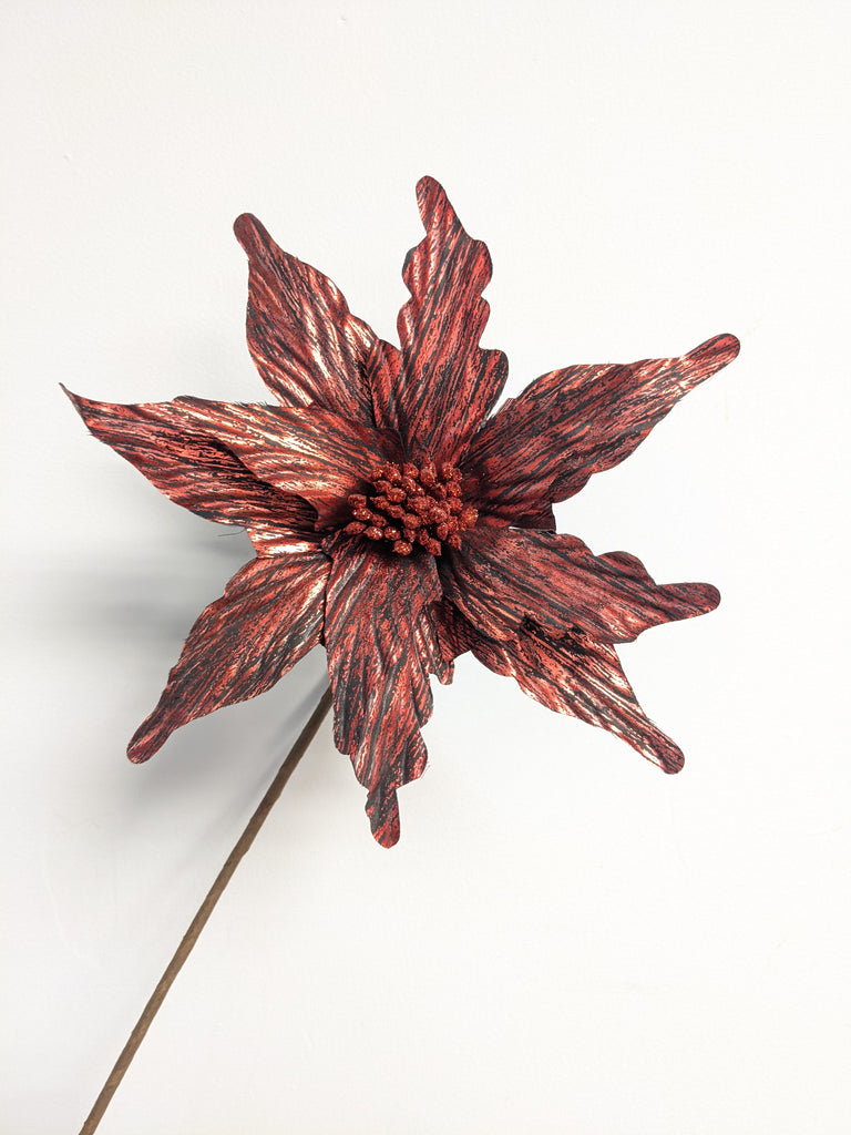 Decorative Marvel Poinsettia (Red + Black) - Beaudry Flowers