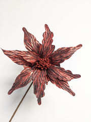 Decorative Marvel Poinsettia (Red + Black) - Beaudry Flowers