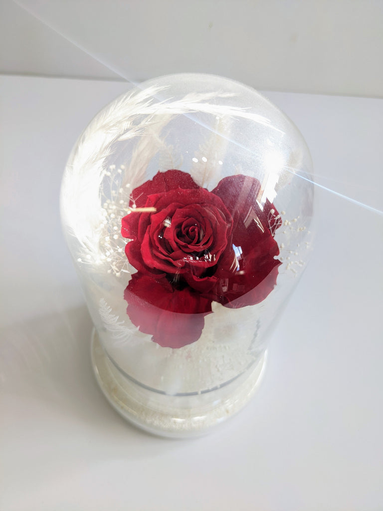 Belle's Dried Flower Dome - Beaudry Flowers