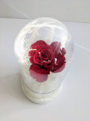 Belle's Dried Flower Dome - Beaudry Flowers
