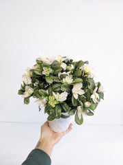 Artificial/Silk Potted Azalea