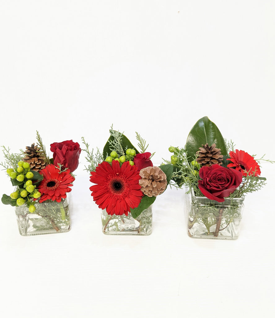 Set of 3 Small Holiday Arrangements - Beaudry Flowers